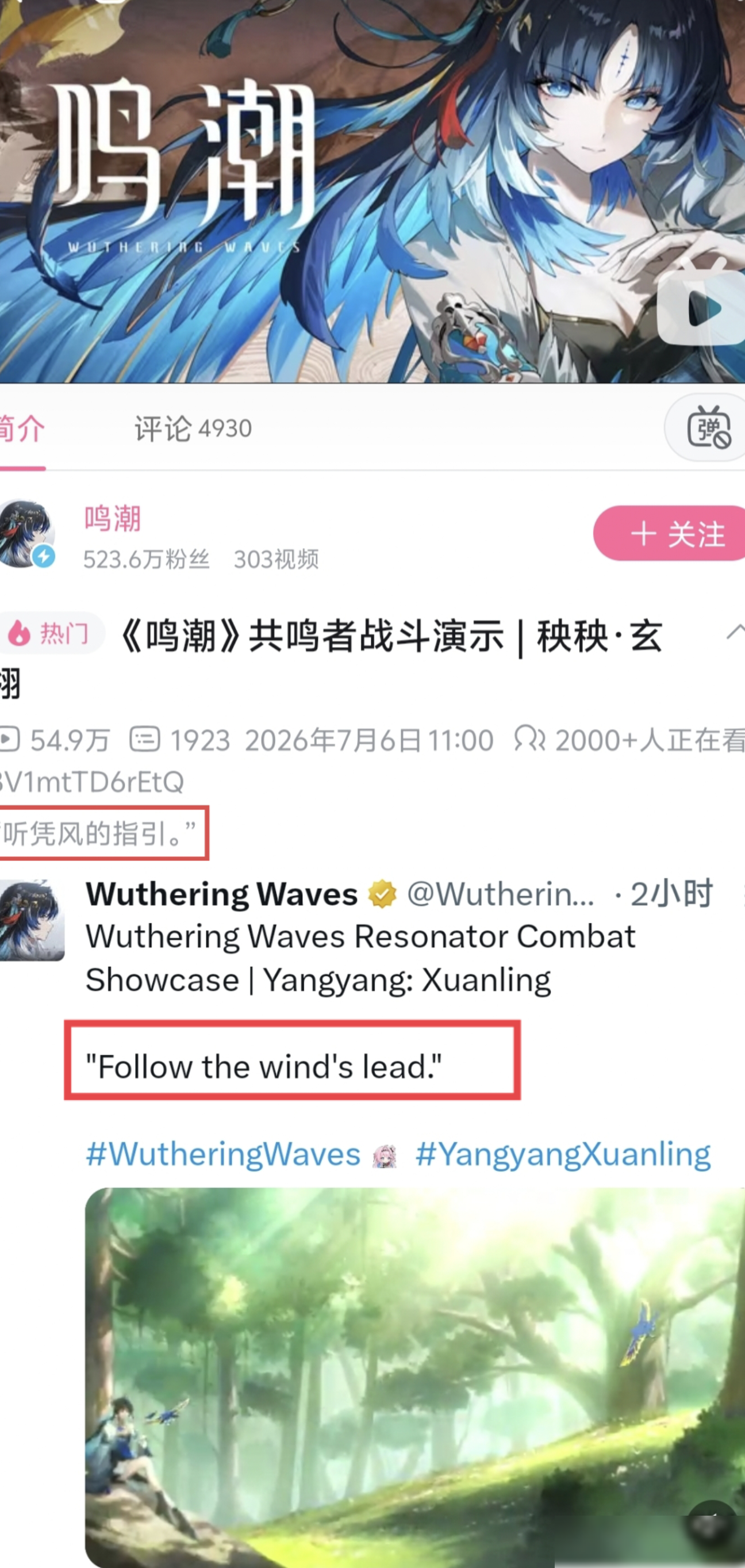 秧秧SP演示，听凭风的指引