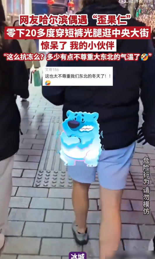 外国游客零下20度穿短裤