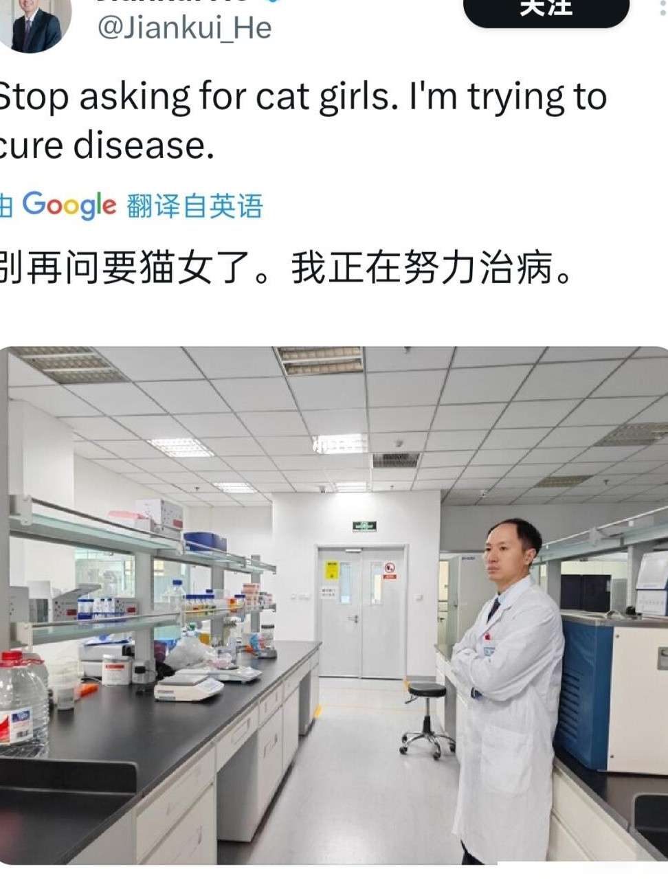 猫娘技术可行性探析