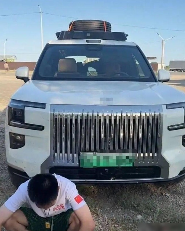 新能源车跨境被远程锁车