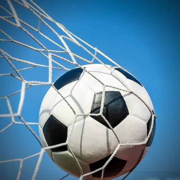 足球职业化困局之因