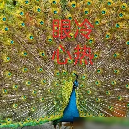 中医疗效为何被忽视？