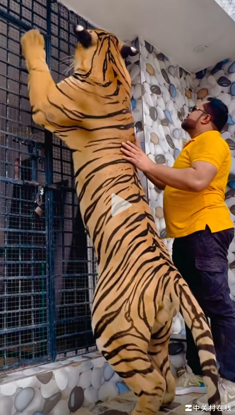 武松打虎真能行？