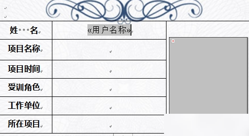 WPS域插入图片不显示原因
