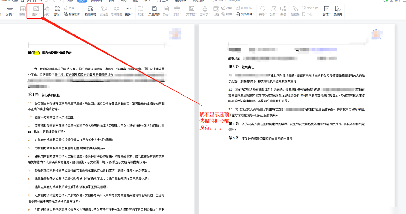 WPS文档无法插入图片？