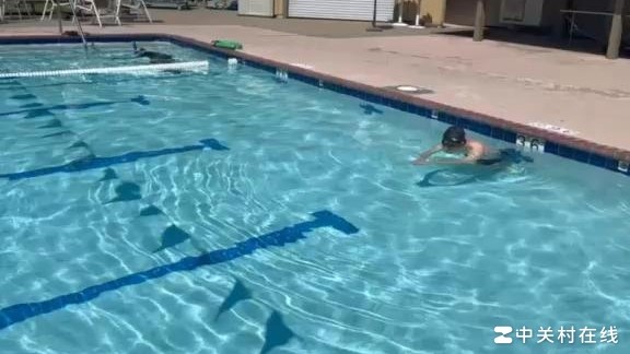 自由泳动作点评