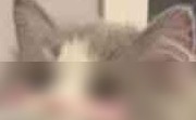 美版iPad太原能否保修