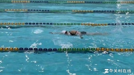 自由泳高手请指教