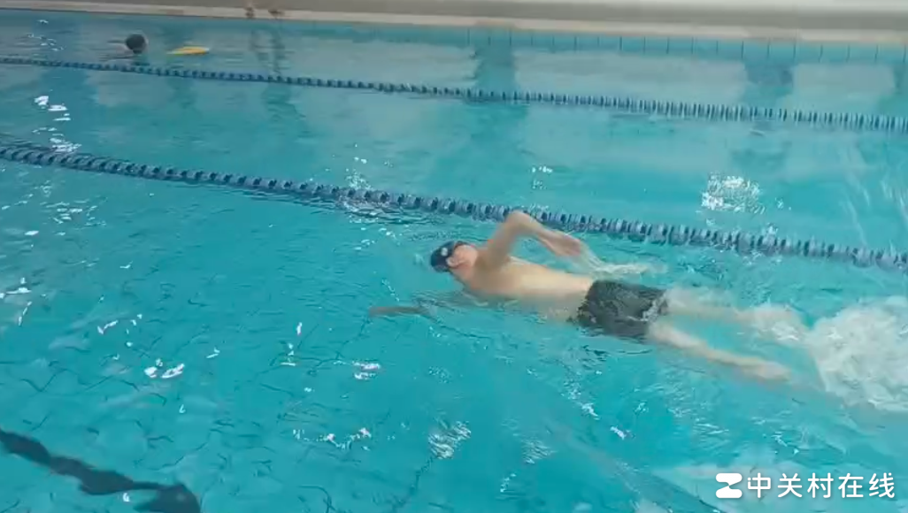 自由泳技巧请教