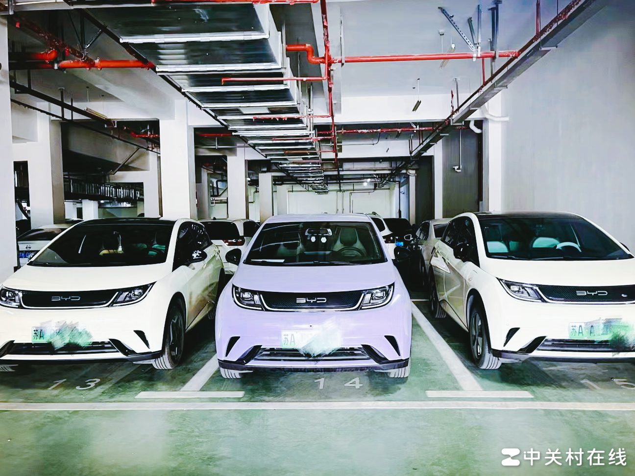 比亚迪海豚销量为何骤降