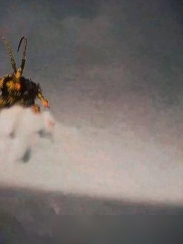 黑神话，悟空破局之路