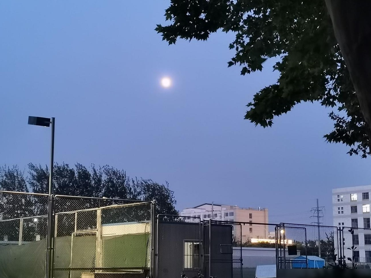 3500元高性价比夜景相机推荐
