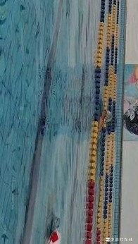 自由泳长游不轻松？原因揭秘