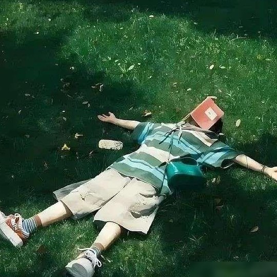 我最爱的书中一句话