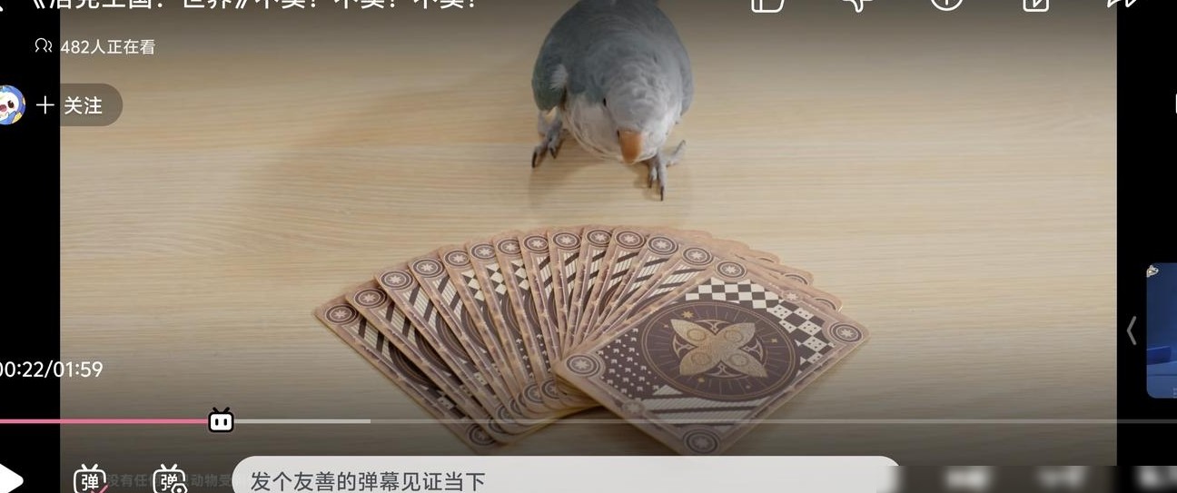 洛克王国视频现愚人众标志