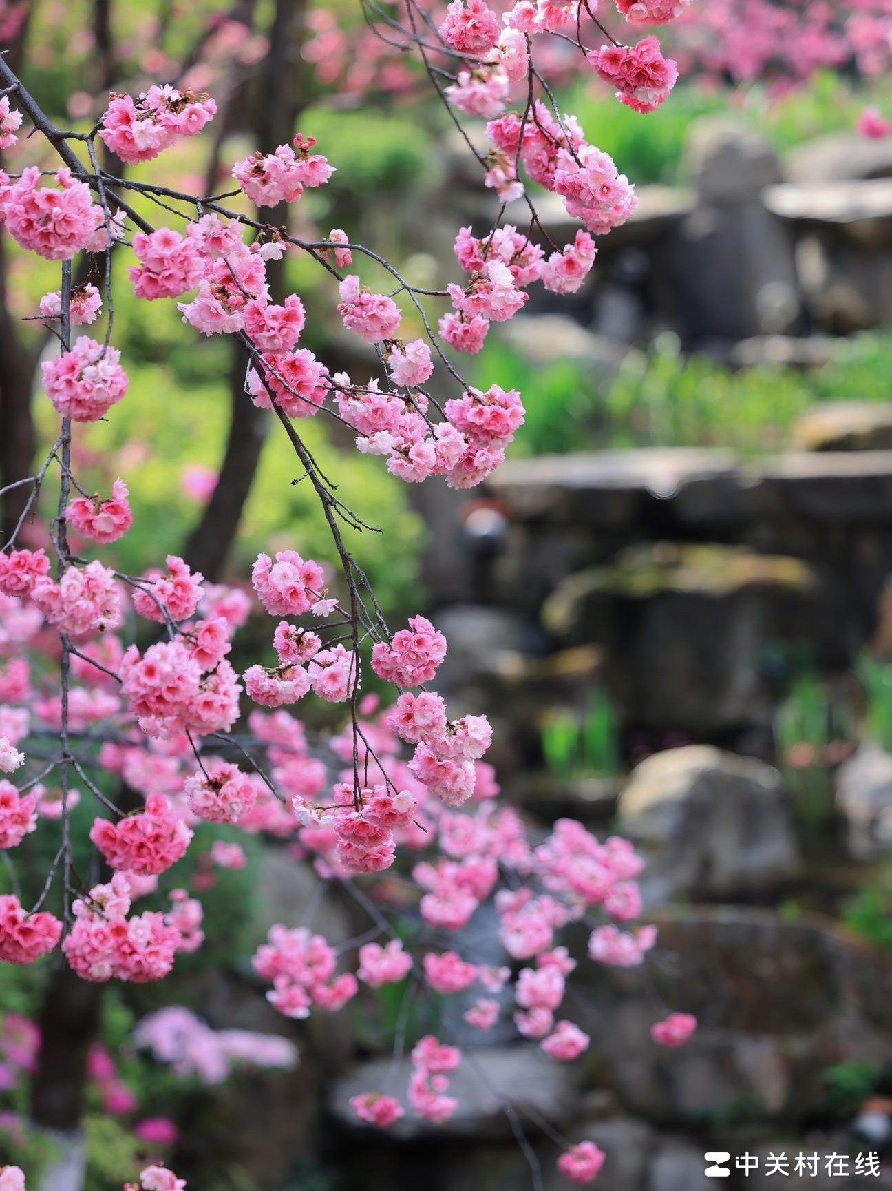 旅行照片如何高效存储？