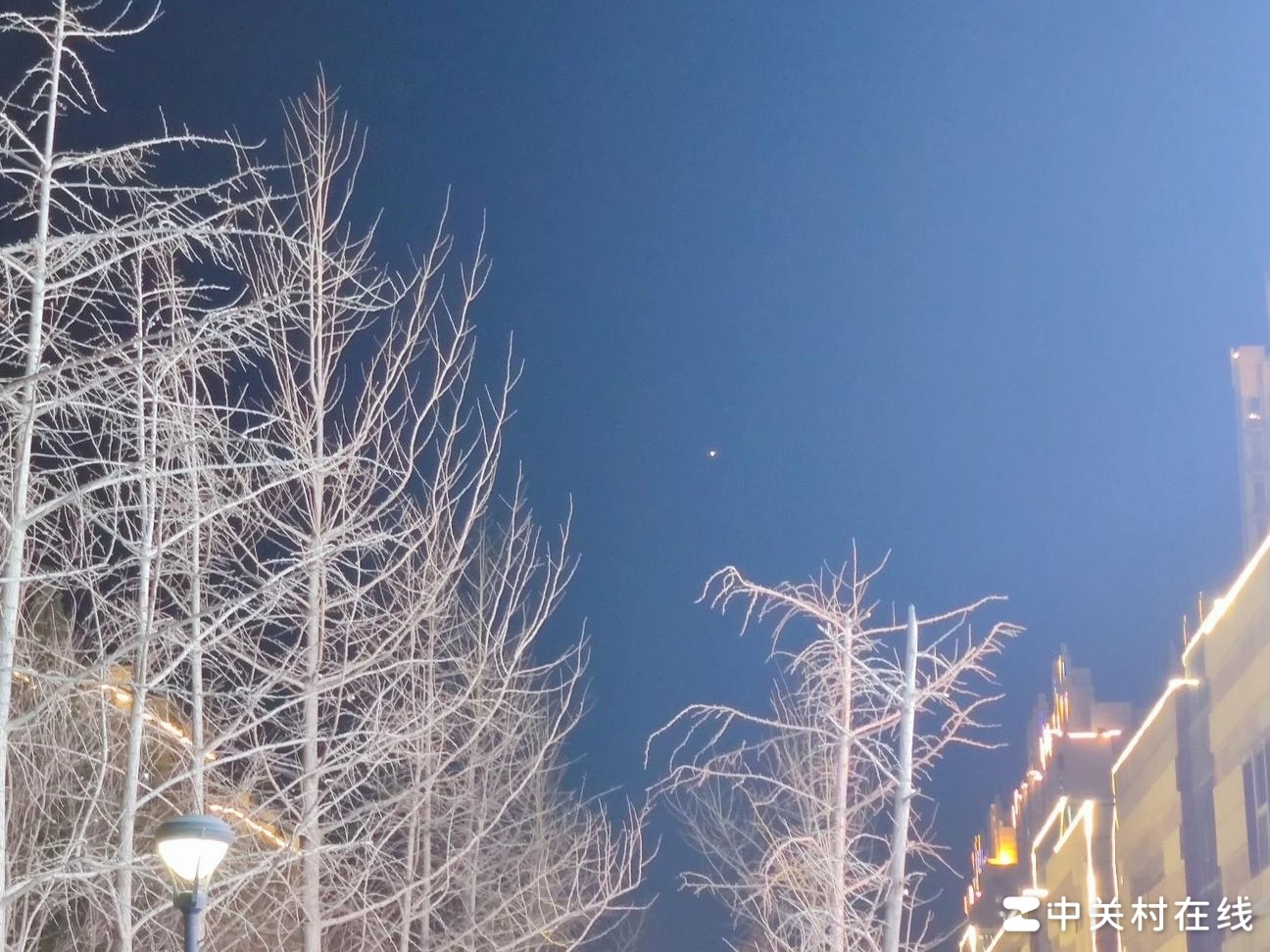 这是什么星星？