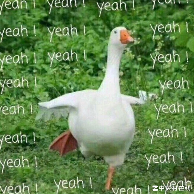 3万内高性价比青年二手车