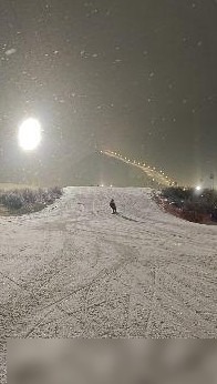 双板滑雪进阶练习指南