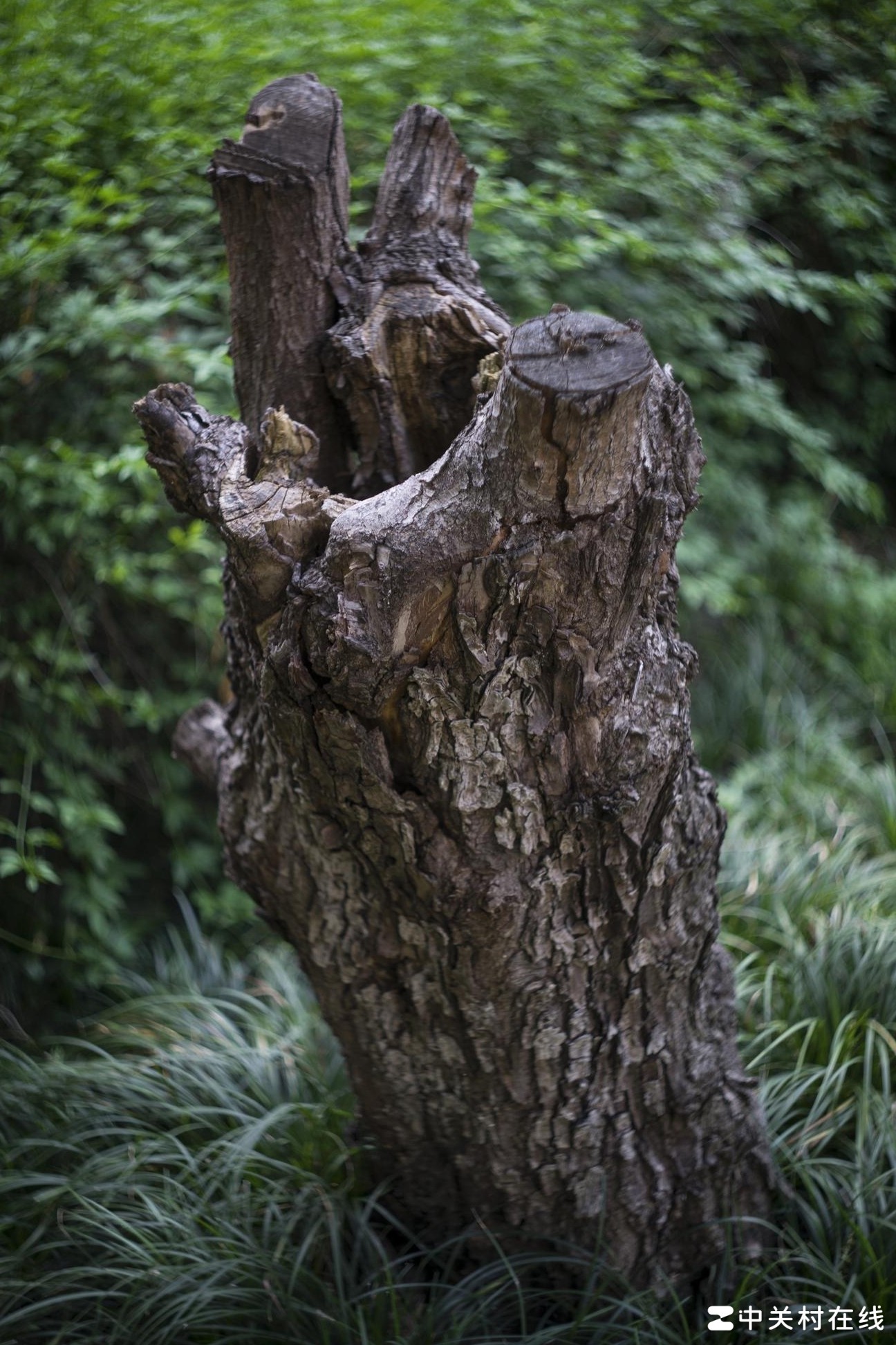 摄影遇到瓶颈？如何突破