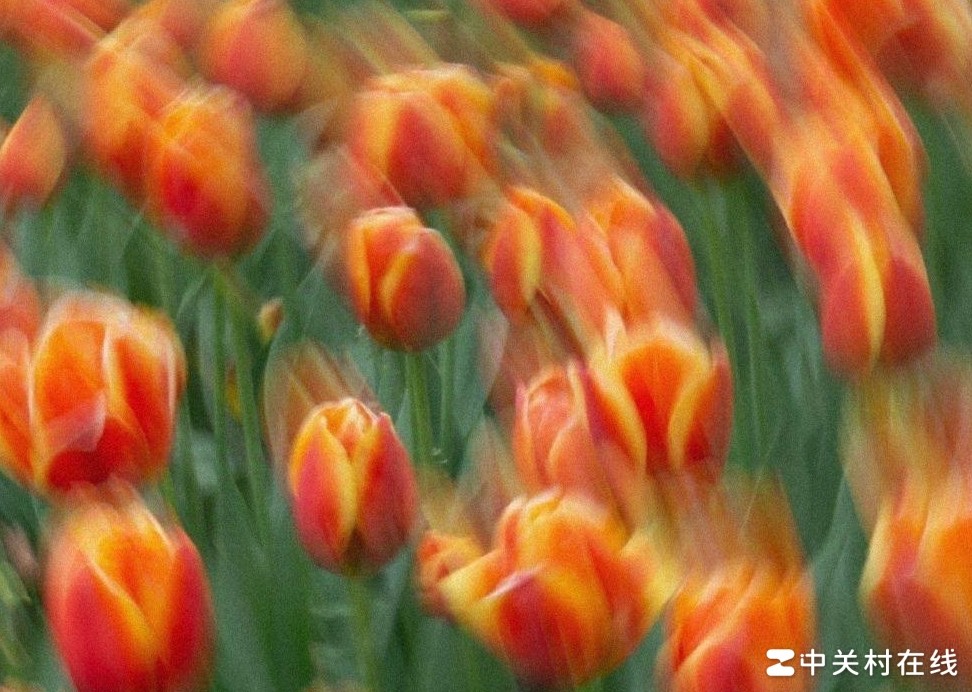 如何拍出环形光晕照片