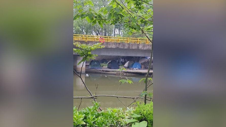 老头乐与新能源车区别