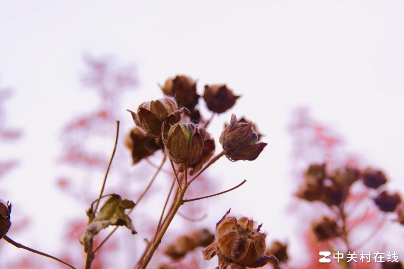 新手摄影，这样拍可以吗？