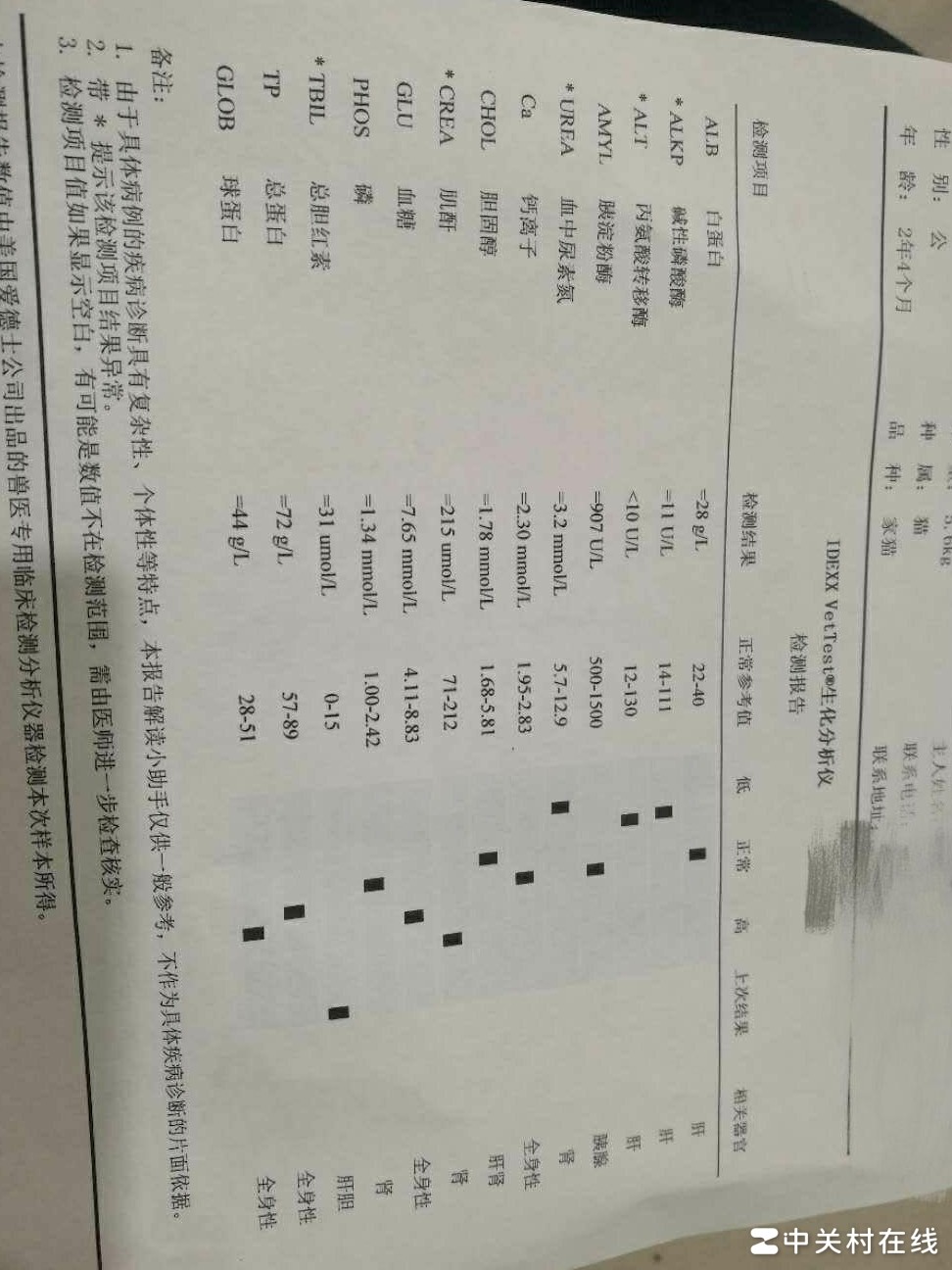 高性价比良心猫粮推荐
