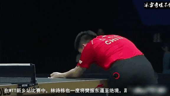 林诗栋技改后成绩下滑之谜