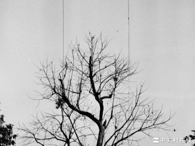 底片划痕与瘢痕修复