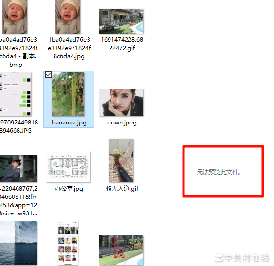 Win10预览窗格不显示图片