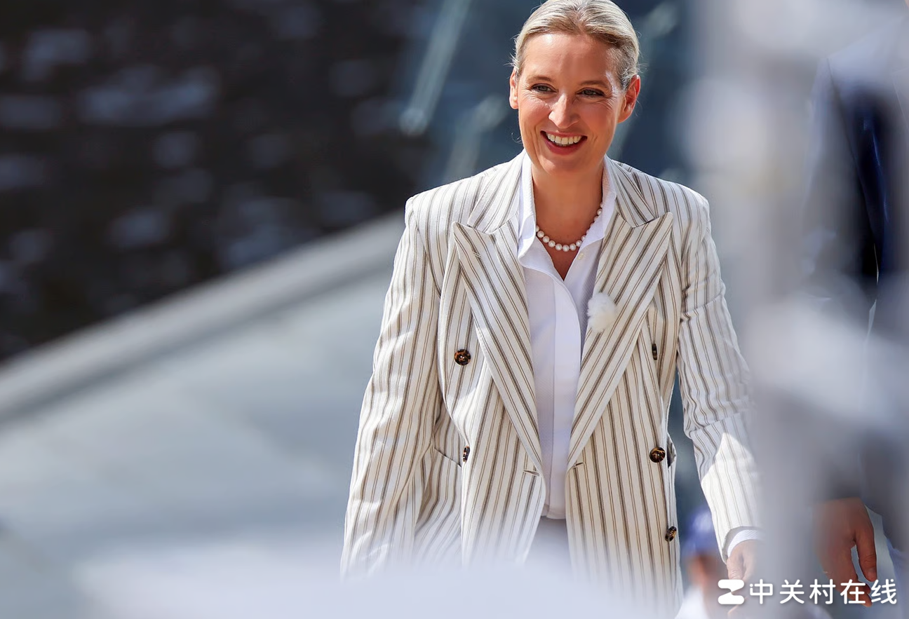 德民调，移民转投AfD