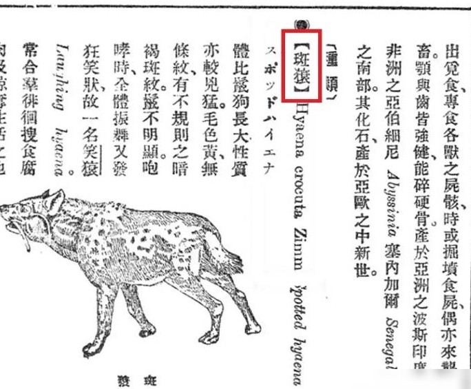 最不妥动物中文名盘点