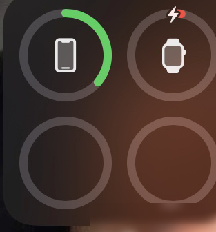 Apple Watch充不进电？