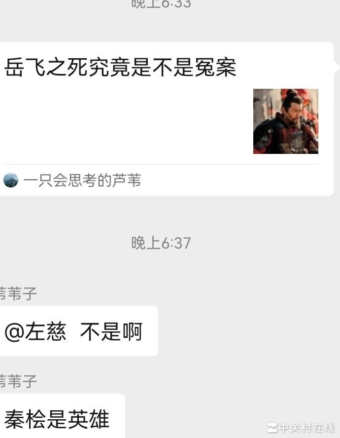 岳飞之死是否为冤案