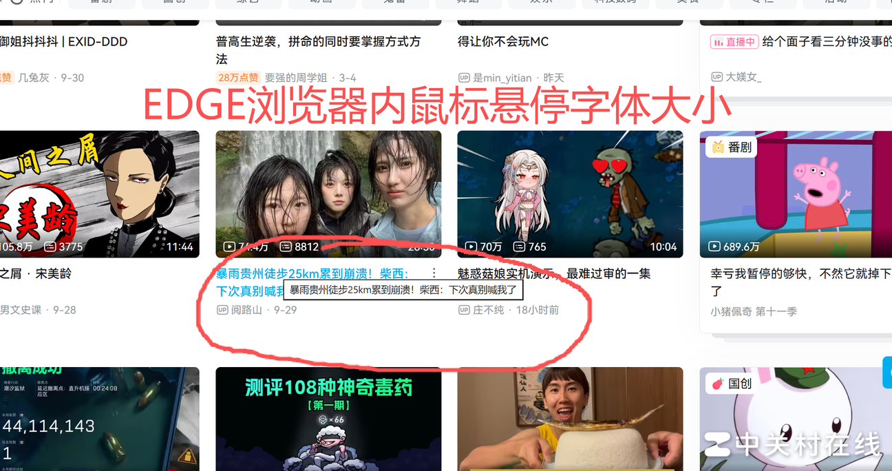 360极速浏览器X悬停文字太小