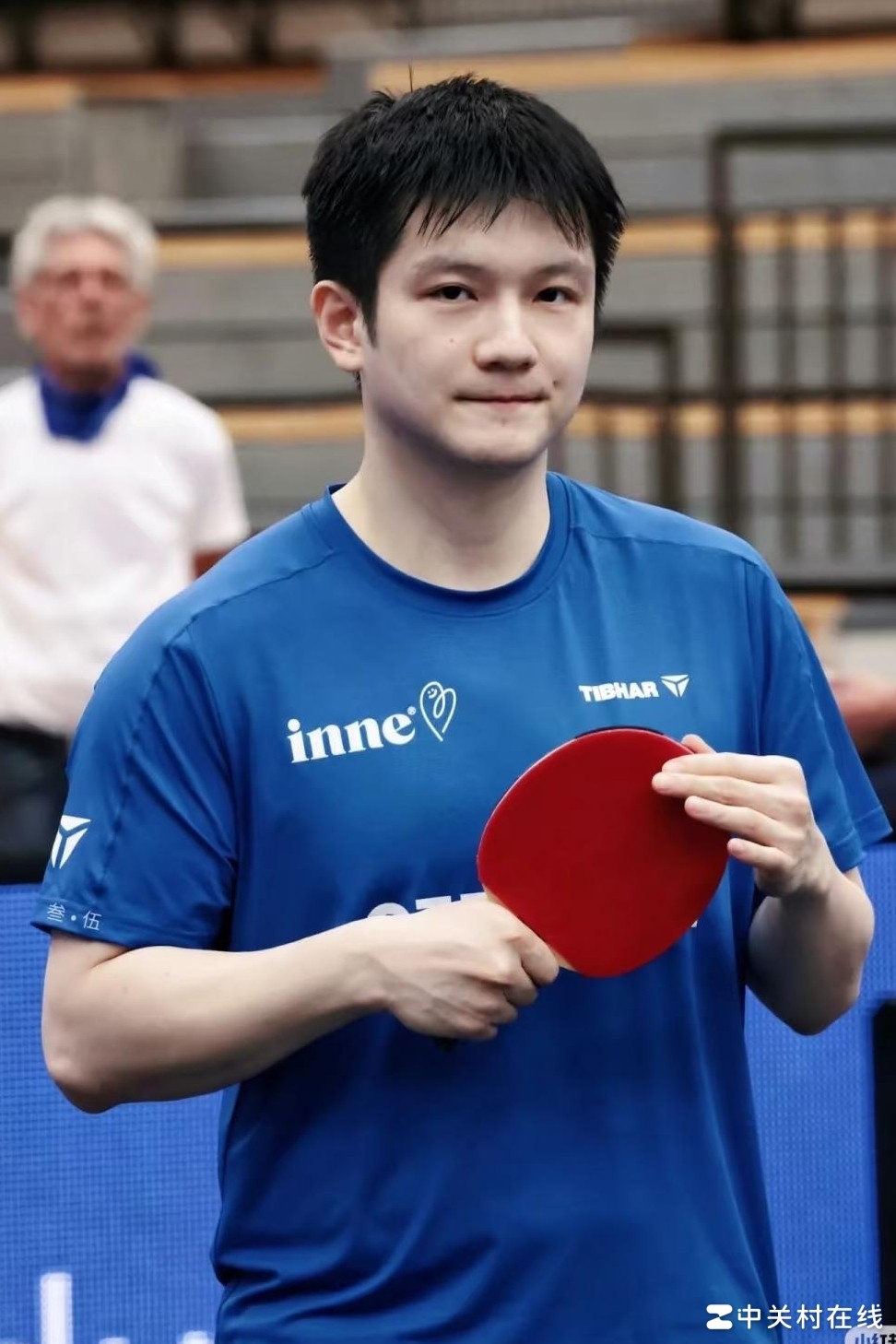 樊振东为何遭排挤？