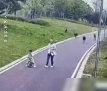 赣州母女公园遭犬撕咬