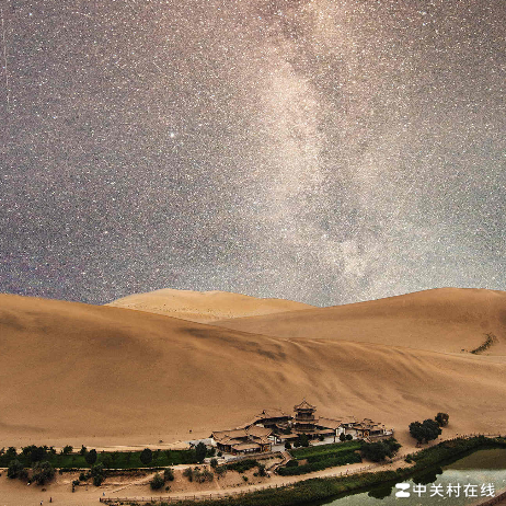 高校伪造学历如何举报