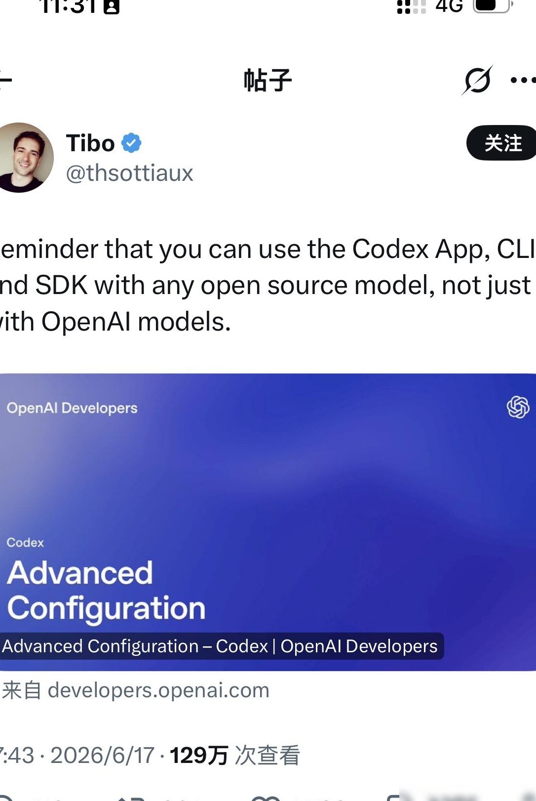 OpenAI Codex本地化配置