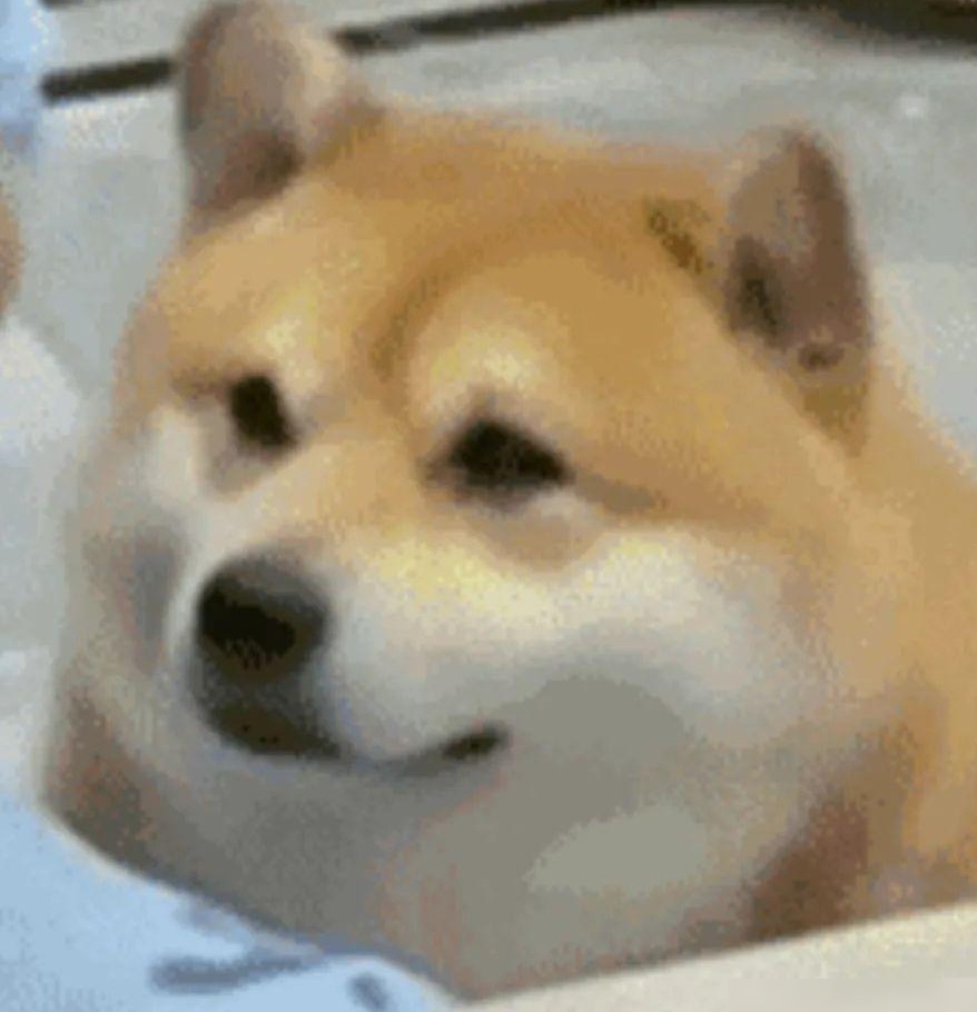 电脑小白买笔记本指南