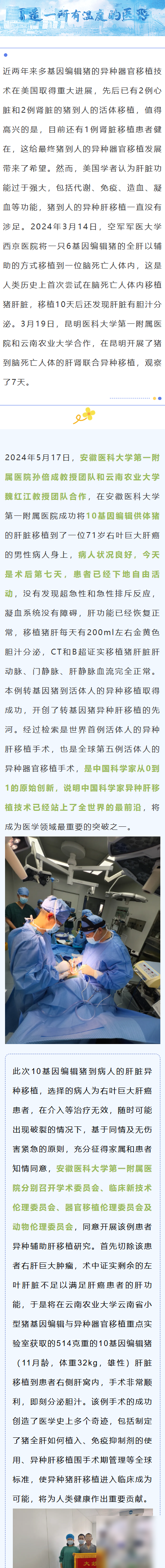 世界首例猪肝移植成功
