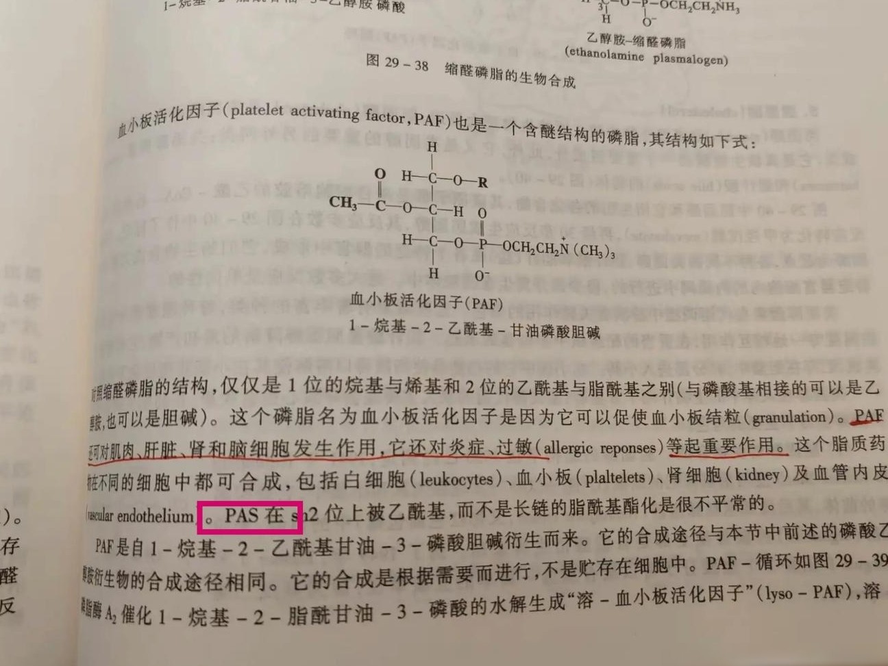PAS是什么？