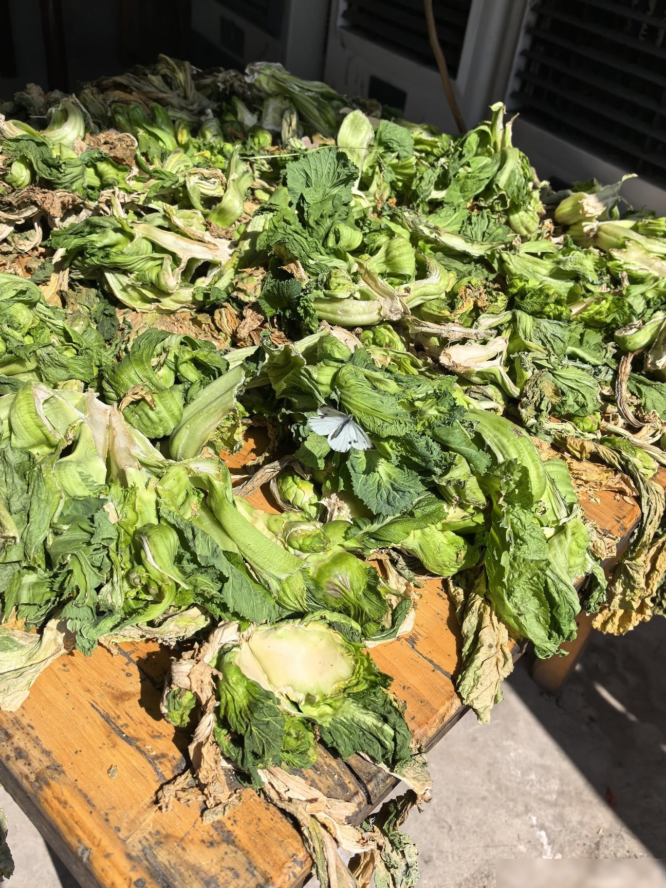 摄影水平如何？请鉴赏