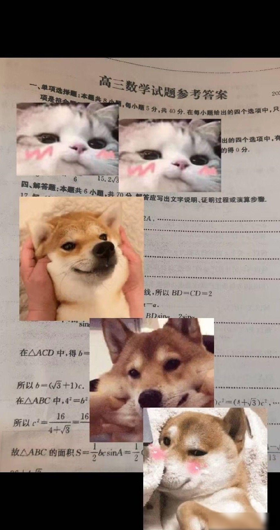PS能否还原此类图片？