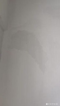 楼上漏水还是墙体漏水？
