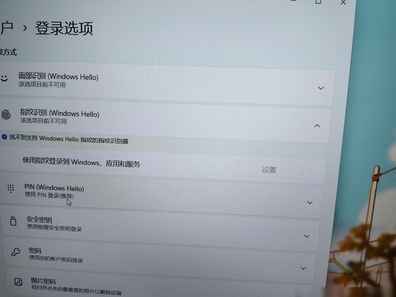 电脑有摄像头却无法人脸识别