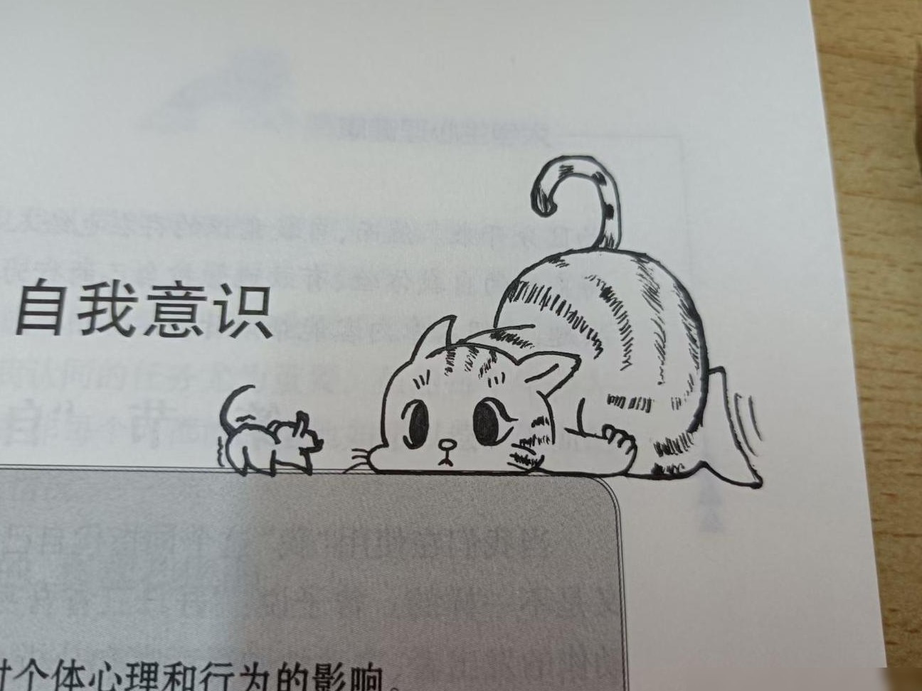 华为与荣耀电脑对比