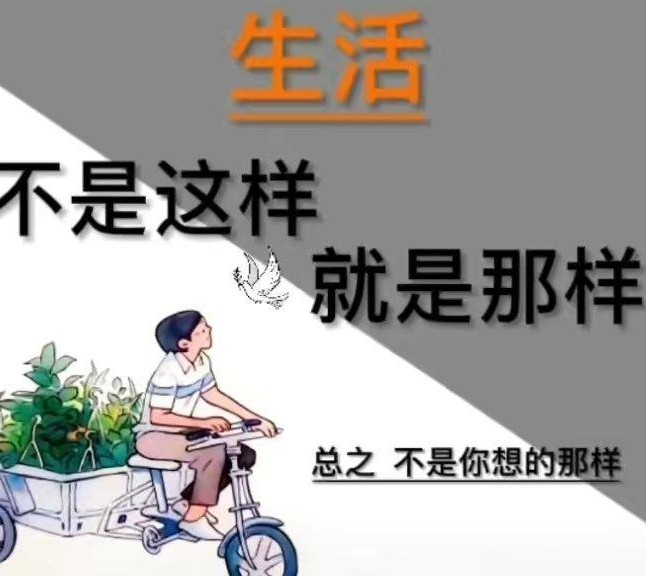 车圈那些令人瞠目的骚操作