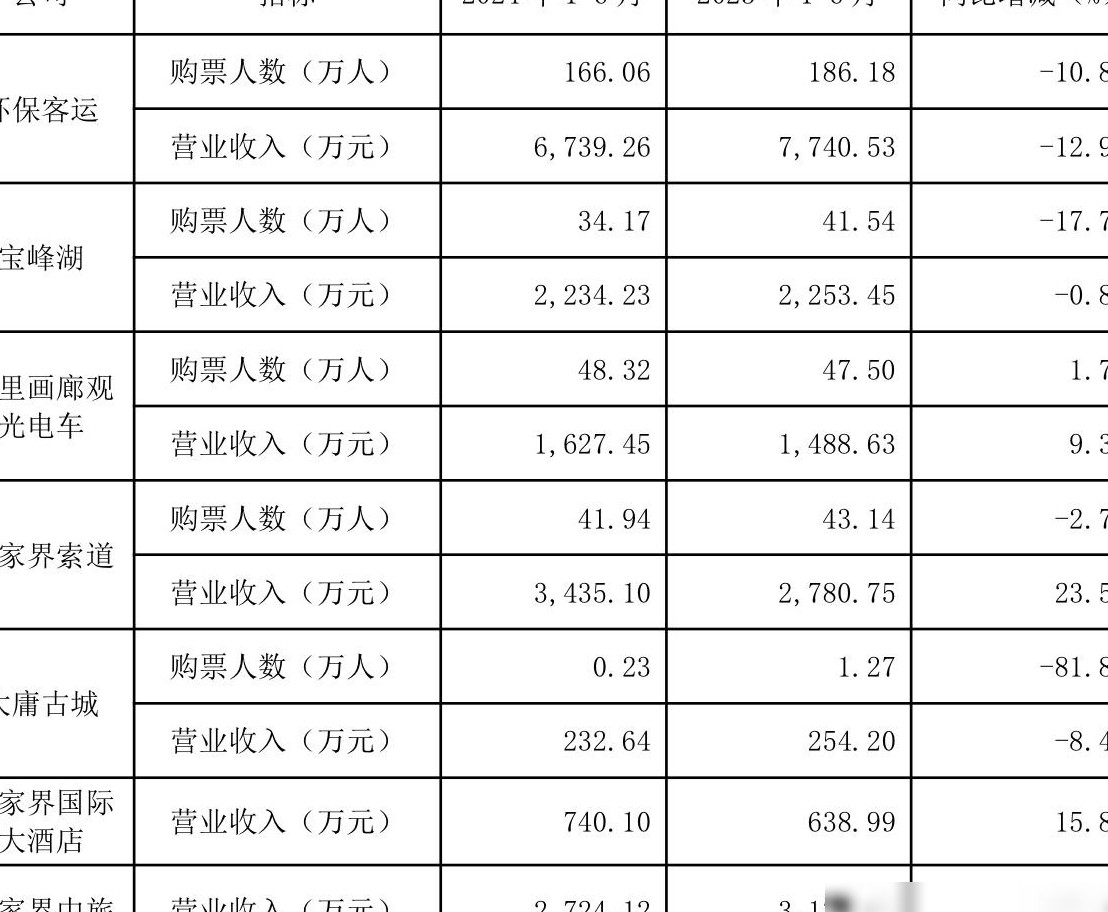 张家界上半年亏损超6000万